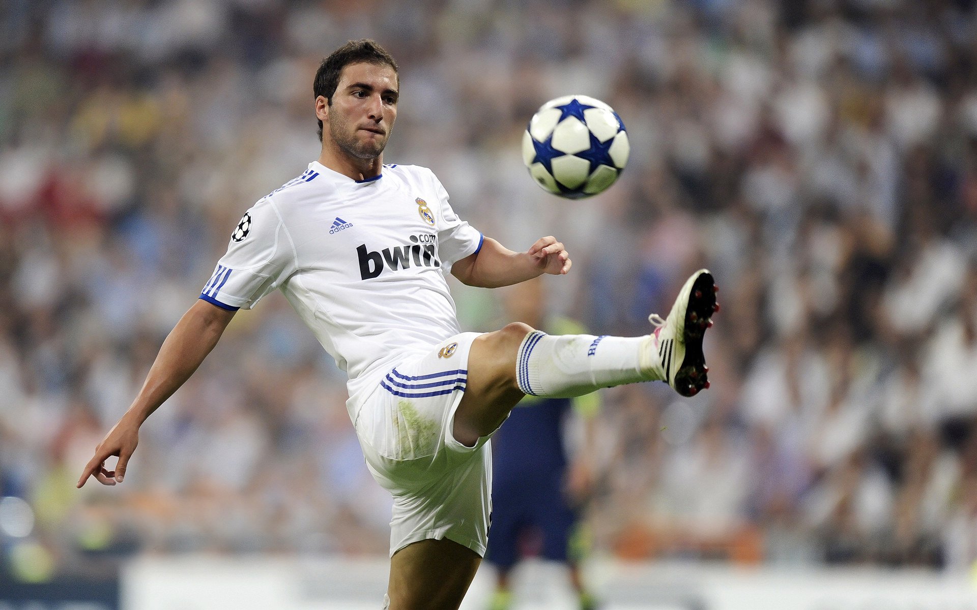 开云官网-德甲引入新型战术体系，比赛更富变数，德甲最新战报